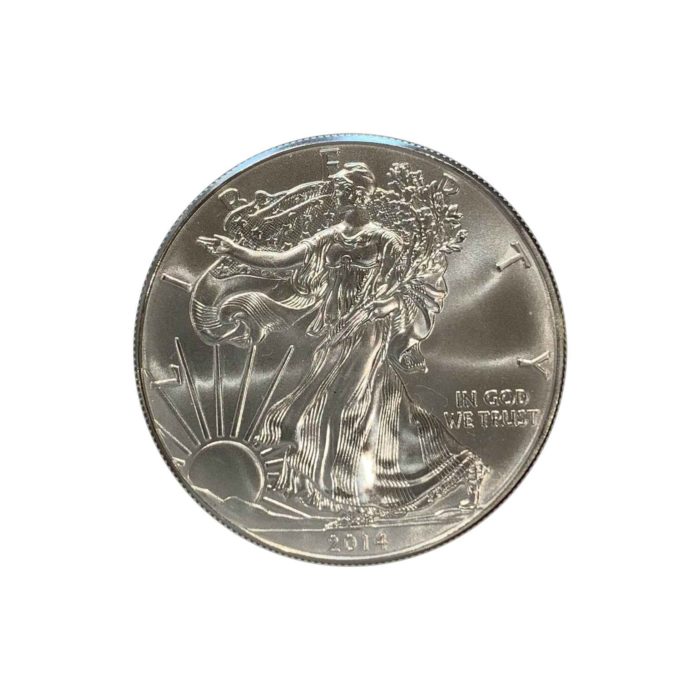 1 Troy Ounce American Silver Eagle (Dates our Choice)