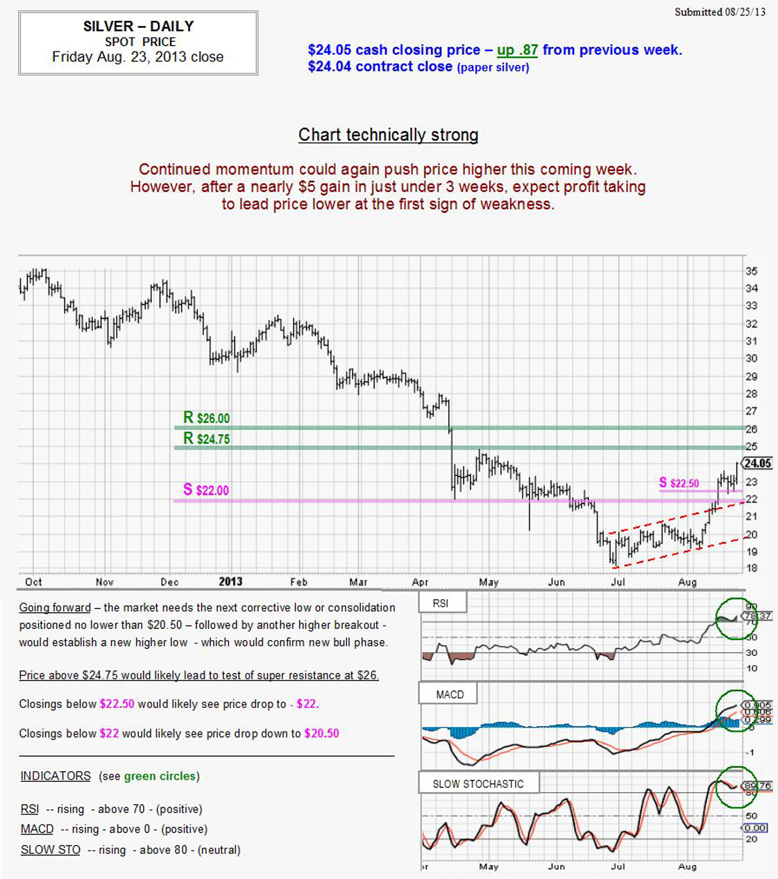 Aug 23, 2013 chart & commentary