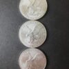 Lot of Three 2024 $1 American Silver Eagle Dollars - Image 2