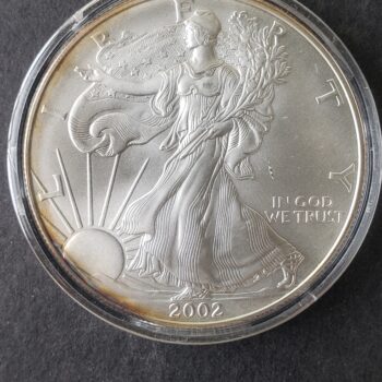 2002 $1 American Silver Eagle Dollar in a Capsule