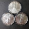 2010, 2011, and 2013 $1 American Silver Eagle Dollars in Capsules