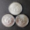 2010, 2011, and 2013 $1 American Silver Eagle Dollars in Capsules - Image 2