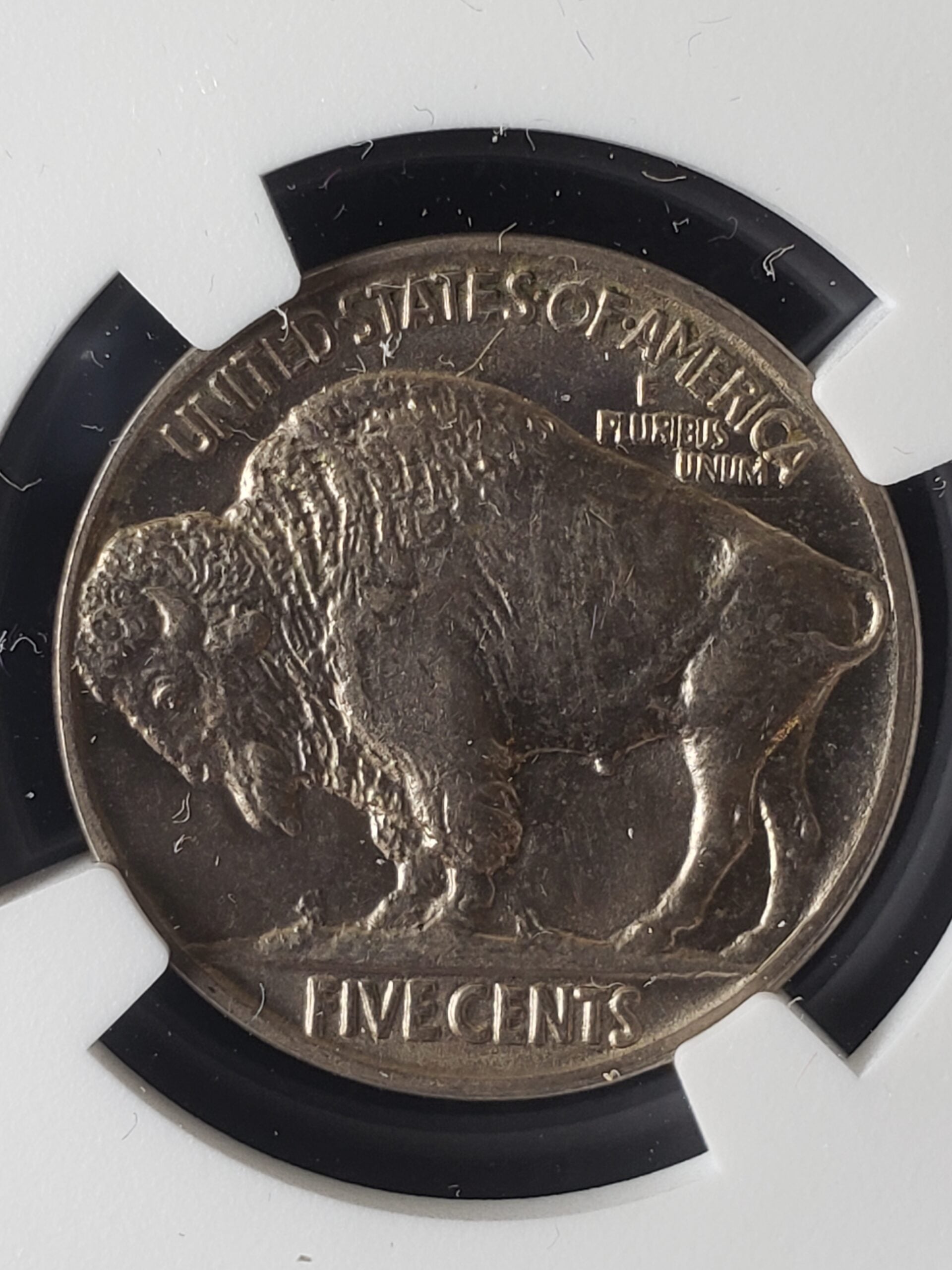 1915 5c Buffalo Nickel NGC MS63 | Jefferson Coin